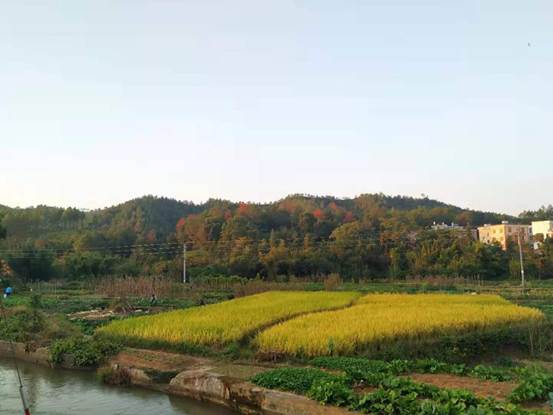 说明: 402f3a85b96713b9740c52c8ff410d2