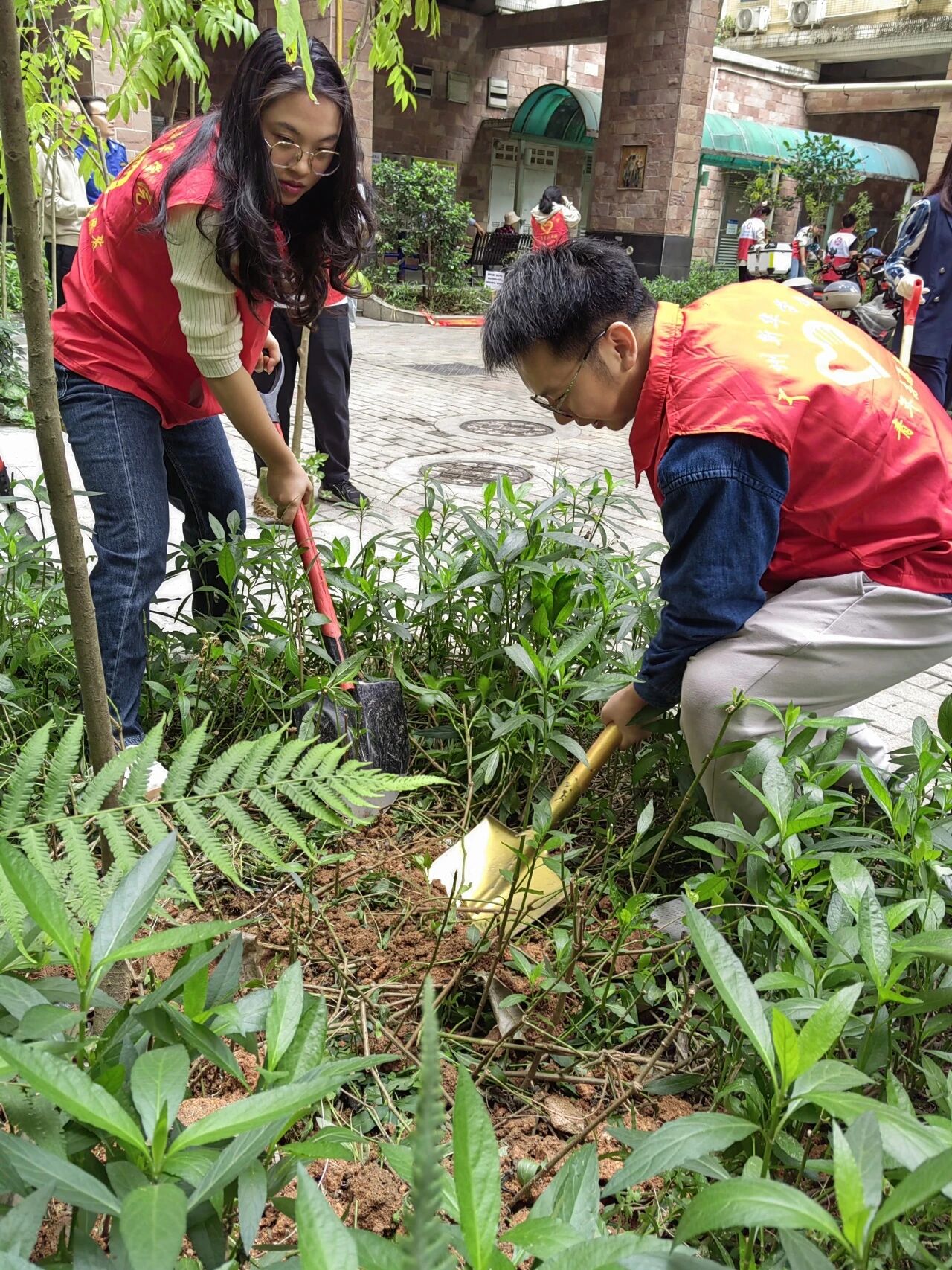 英国上市公司365